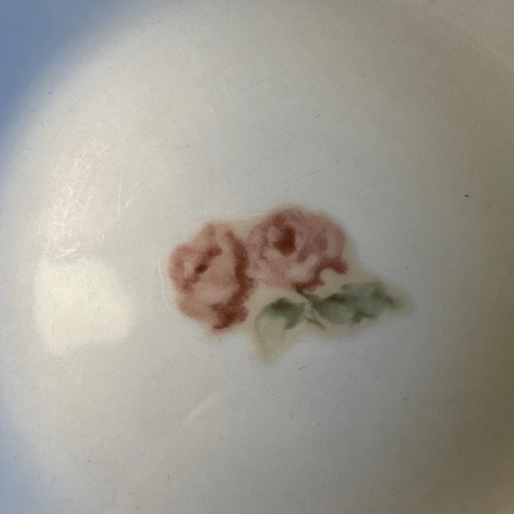 CHERI BLUM For 222 FIFTH Floral Rimmed 9